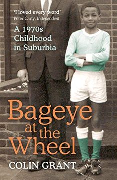 portada Bageye at the Wheel: A 1970s Childhood in Suburbia