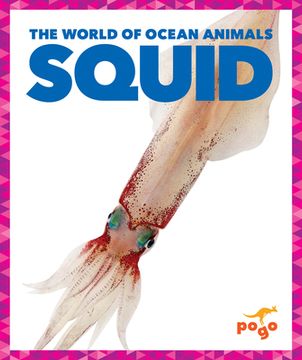 portada Squid (in English)