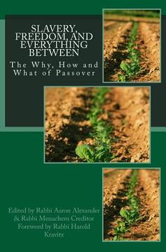 portada Slavery, Freedom, and Everything Between: The Why, How and What of Passover (in English)