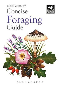 portada Concise Foraging Guide (The Wildlife Trusts) (en Inglés)