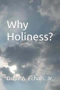 portada Why Holiness?: Flowing Living Water - Volume 2 (en Inglés)