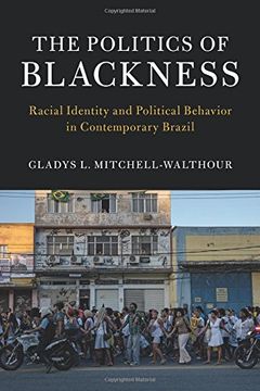 portada The Politics of Blackness: Racial Identity and Political Behavior in Contemporary Brazil (Cambridge Studies in Stratification Economics: Economics and Social Identity) (in English)