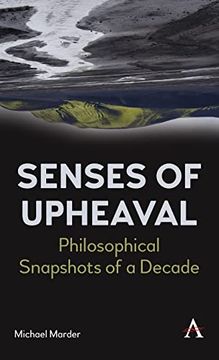 portada Senses of Upheaval: Philosophical Snapshots of a Decade (en Inglés)
