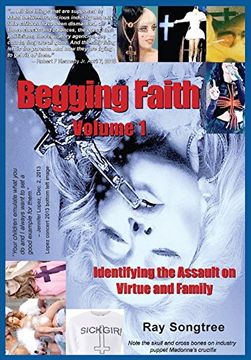 portada Begging Faith  (Vol. 1, Lipstick and War Crimes Series): Identifying the Assault on Virtue and Family
