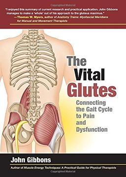 portada The Vital Glutes: Connecting the Gait Cycle to Pain and Dysfunction (in English)