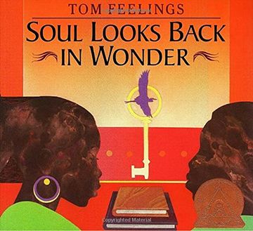 portada Soul Looks Back in Wonder (in English)