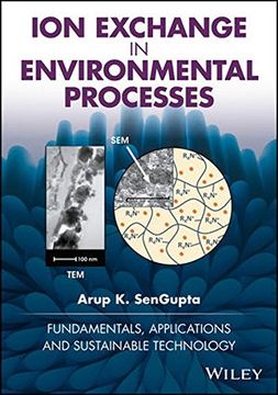 portada Ion Exchange In Environmental Processes (en Inglés)