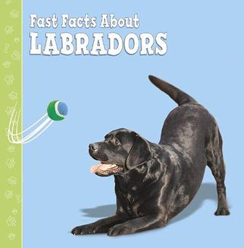 portada Fast Facts About Labradors (Fast Facts About Dogs) (en Inglés)