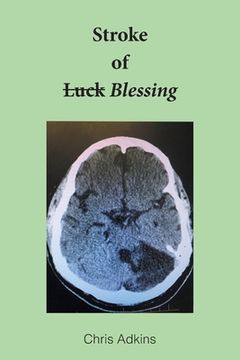 portada Stroke of Blessing (in English)