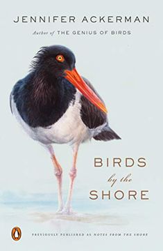 portada Birds by the Shore: Observing the Natural Life of the Atlantic Coast (en Inglés)