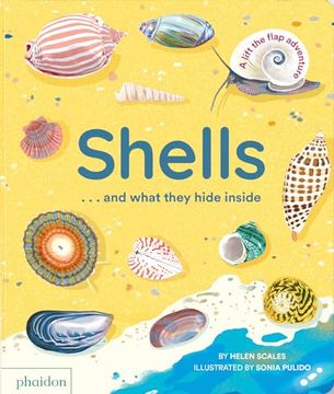 portada Shells.   And What They Hide Inside: A Lift-The-Flap Adventure