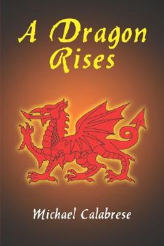 portada a dragon rises (in English)