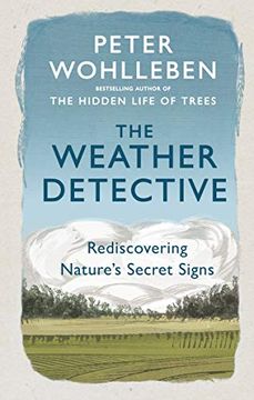 portada The Weather Detective (en Inglés)