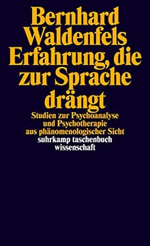 portada Erfahrung, die zur Sprache Drängt (in German)
