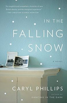 portada In the Falling Snow (en Inglés)