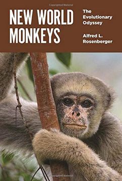 portada New World Monkeys: The Evolutionary Odyssey (en Inglés)