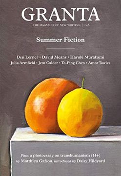 portada Granta 148: Summer Fiction (The Magazine of new Writing) (in English)