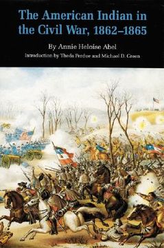 portada the american indian in the civil war, 1862-1865 (in English)