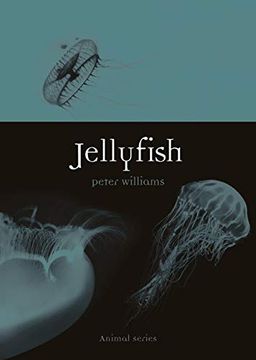 portada Jellyfish (in English)