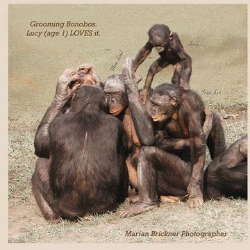 portada Grooming bonobos: Lucy (age 1) LOVES it (en Inglés)