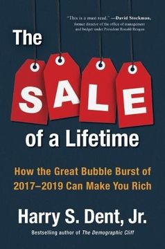 portada The Sale of a Lifetime: How the Great Bubble Burst of 2017-2019 can Make you Rich (en Inglés)