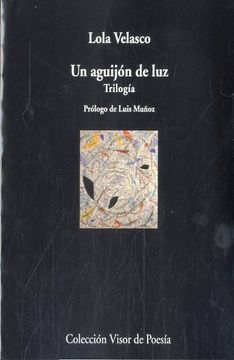 portada Un Aguijón De Luz (Visor de Poesía)