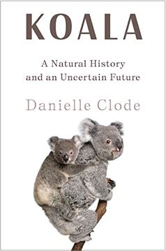 portada Koala: A Natural History and an Uncertain Future (in English)