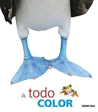 portada A Todo Color (in Spanish)