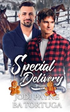 portada Special Delivery: A Wrecked Holiday Novel (en Inglés)