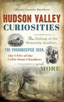 portada Hudson Valley Curiosities: The Sinking of the Steamship Swallow, the Poughkeepsie Seer, the UFOs of the Celtic Stone Chambers and More (en Inglés)