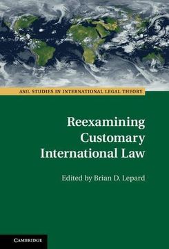portada Reexamining Customary International law (Asil Studies in International Legal Theory) (en Inglés)