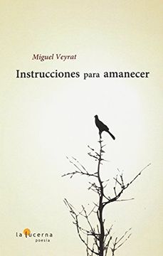 portada Instrucciones para amanecer (in Spanish)