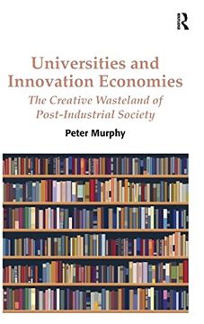 portada Universities and Innovation Economies: The Creative Wasteland of Post-Industrial Society (en Inglés)