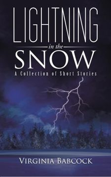 portada Lightning in the Snow