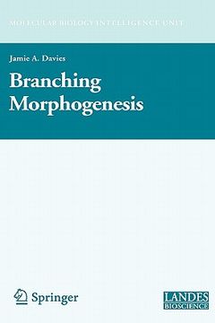 portada branching morphogenesis (in English)