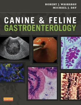 portada Canine & Feline Gastroenterology (en Inglés)