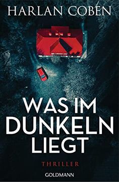 portada Was im Dunkeln Liegt: Wilde Ermittelt 2 - Thriller (in German)