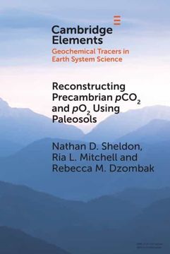 portada Reconstructing Precambrian Pco2 and po2 Using Paleosols (Elements in Geochemical Tracers in Earth System Science) (en Inglés)