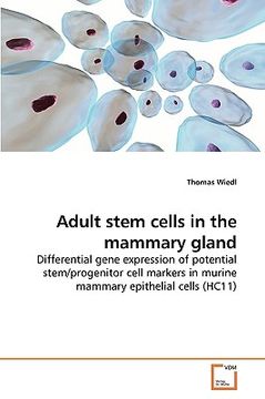 portada adult stem cells in the mammary gland (en Inglés)