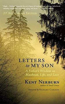 portada Letters to My Son: A Father's Wisdom on Manhood, Life, and Love