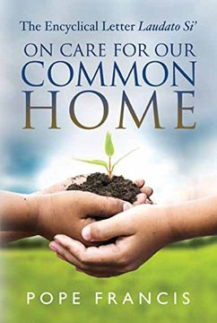 portada On Care for Our Common Home: The Encyclical Letter Laudato Si' (en Inglés)