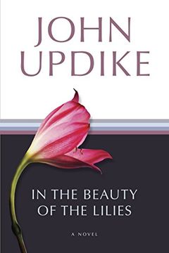 portada In the Beauty of the Lilies (Roman) (in English)