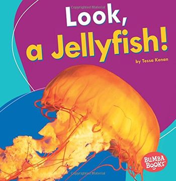 portada Look, a Jellyfish! (Bumba Books I See Ocean Animals)