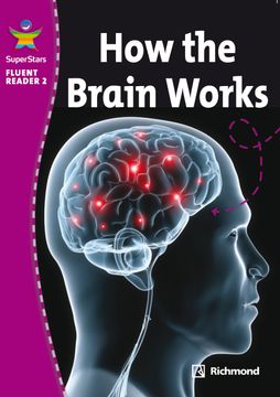 portada Ss Fr2: How The Brain Works