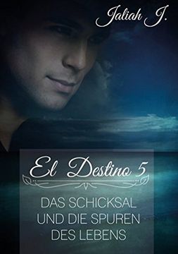 portada El Destino 5 (German Edition)