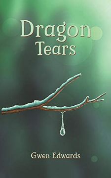 portada Dragon Tears (in English)