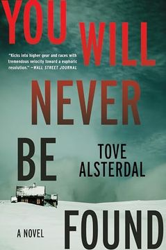 portada You Will Never be Found: A Novel (The High Coast Series, 2) (in English)