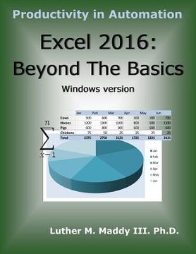 portada Excel 2016: Beyond the Basics (in English)