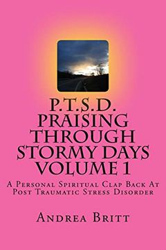 portada P. T. S. D. Praising Through Stormy Days Volume 1: A Spirtual Clapback to Post Traumatic Stress Disorder (The Fight) (en Inglés)