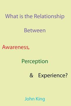 portada what is the relationship between awareness, perception & experience? (en Inglés)